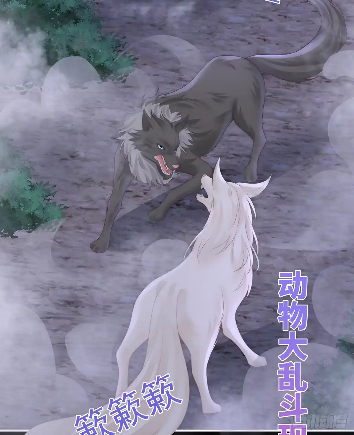 《妻主，请享用（别名：天喜红鸾）》又来两只美狼！ 第20页