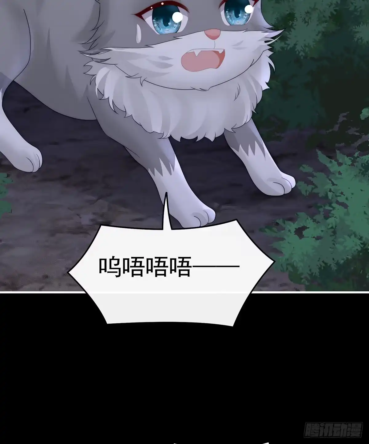 《妻主，请享用（别名：天喜红鸾）》又来两只美狼！ 第41页
