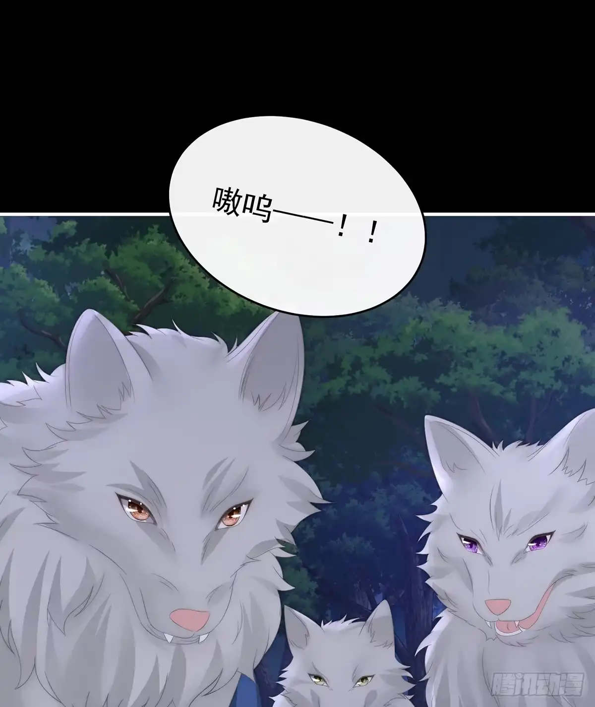 《妻主，请享用（别名：天喜红鸾）》卖了你做诱饵 第29页