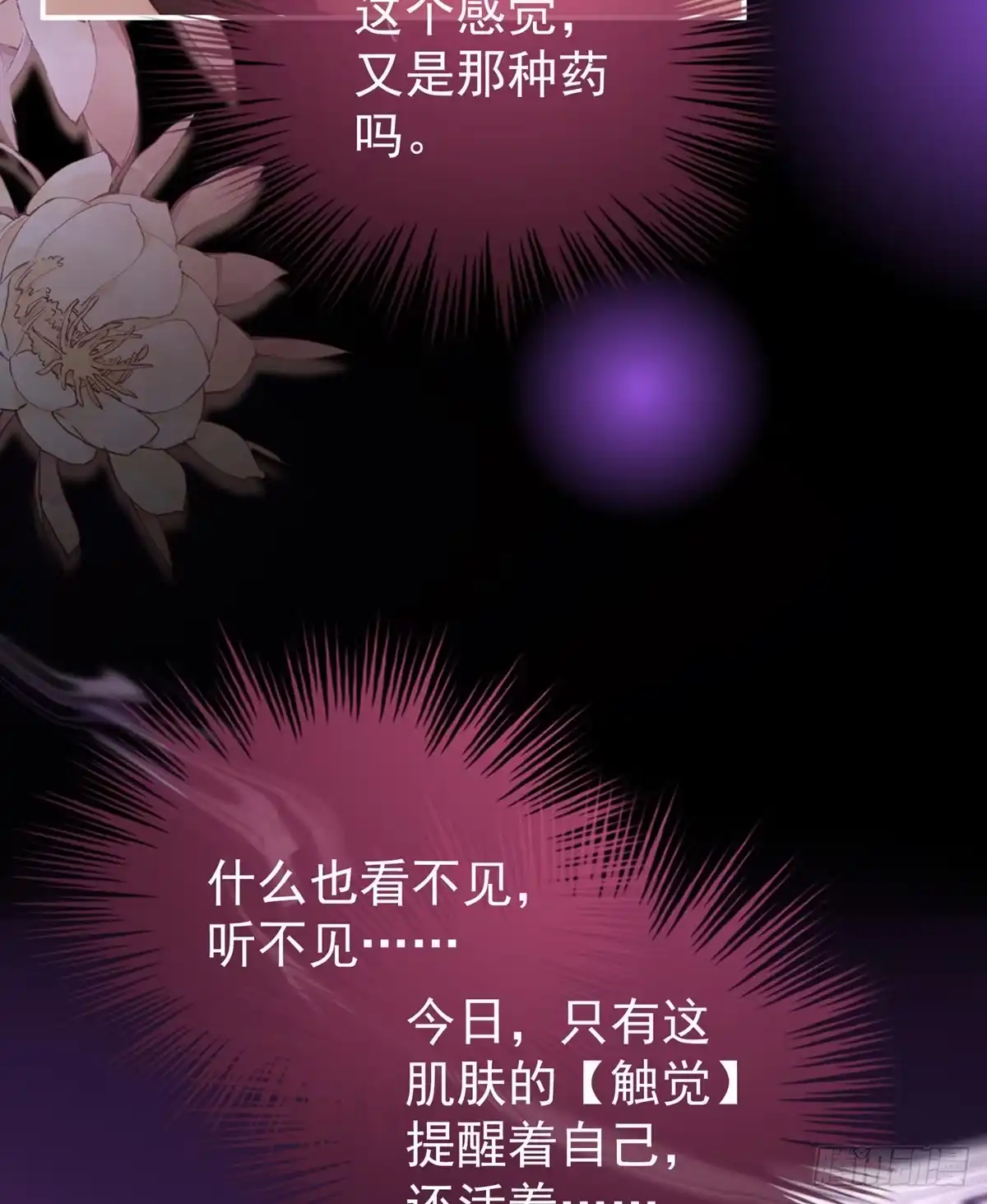 《妻主，请享用（别名：天喜红鸾）》今夜，只有触感 第22页