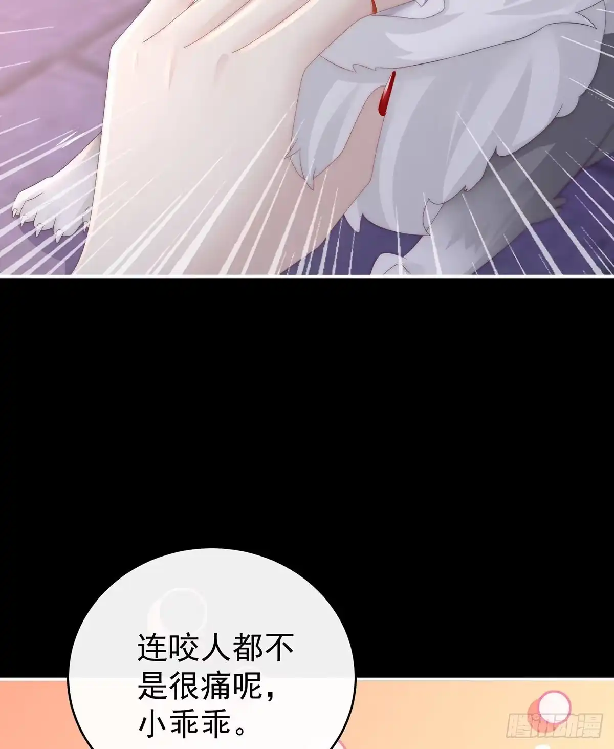 《妻主，请享用（别名：天喜红鸾）》白嫖一只狼崽 第9页