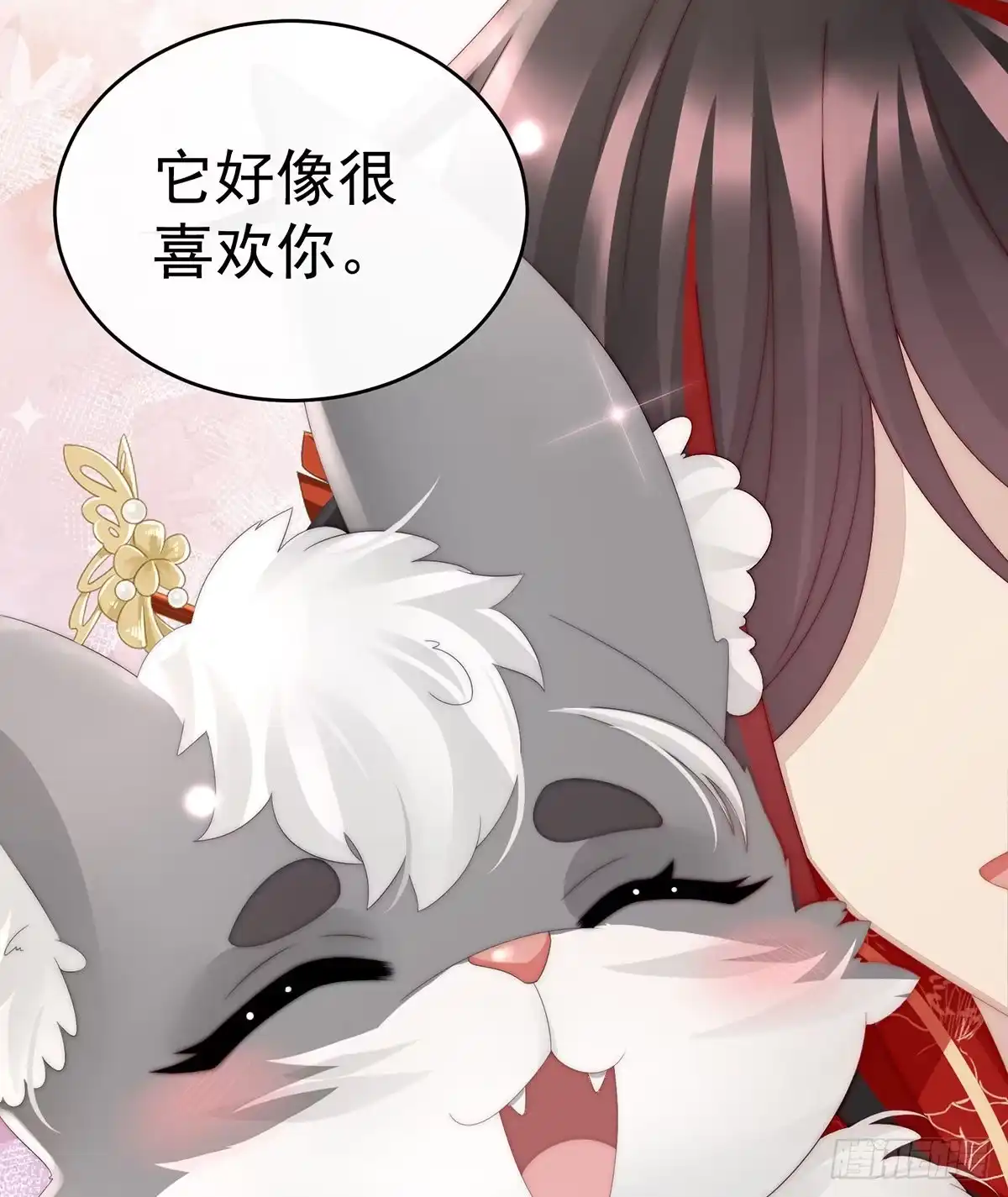 《妻主，请享用（别名：天喜红鸾）》白嫖一只狼崽 第37页