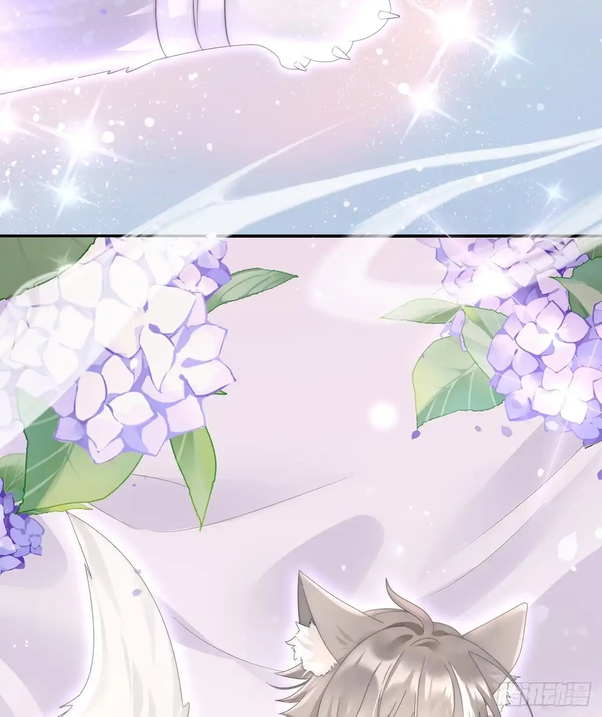 《妻主，请享用（别名：天喜红鸾）》白嫖一只狼崽 第63页
