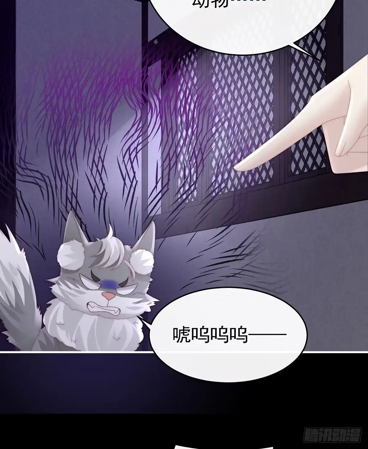 《妻主，请享用（别名：天喜红鸾）》她最爱的还是你！ 第60页
