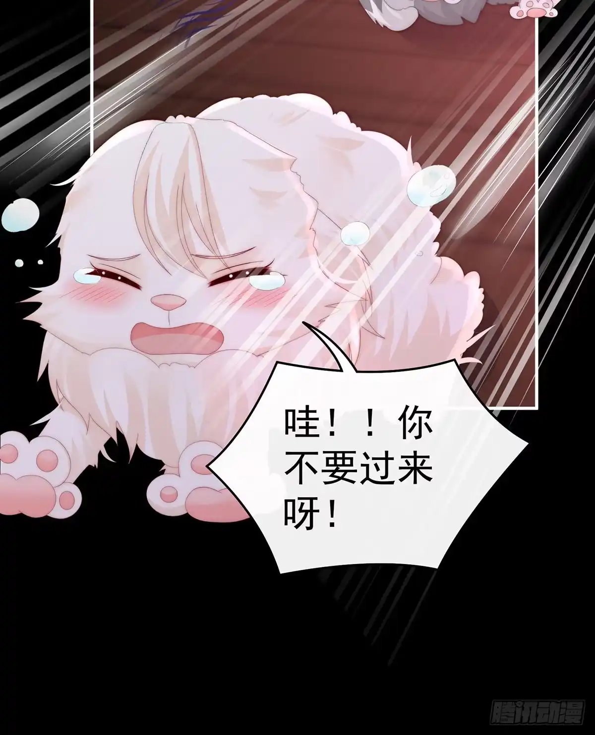 《妻主，请享用（别名：天喜红鸾）》你有别的狗了 第43页