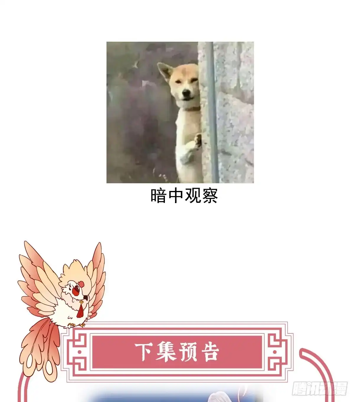 《妻主，请享用（别名：天喜红鸾）》醉酒 第65页