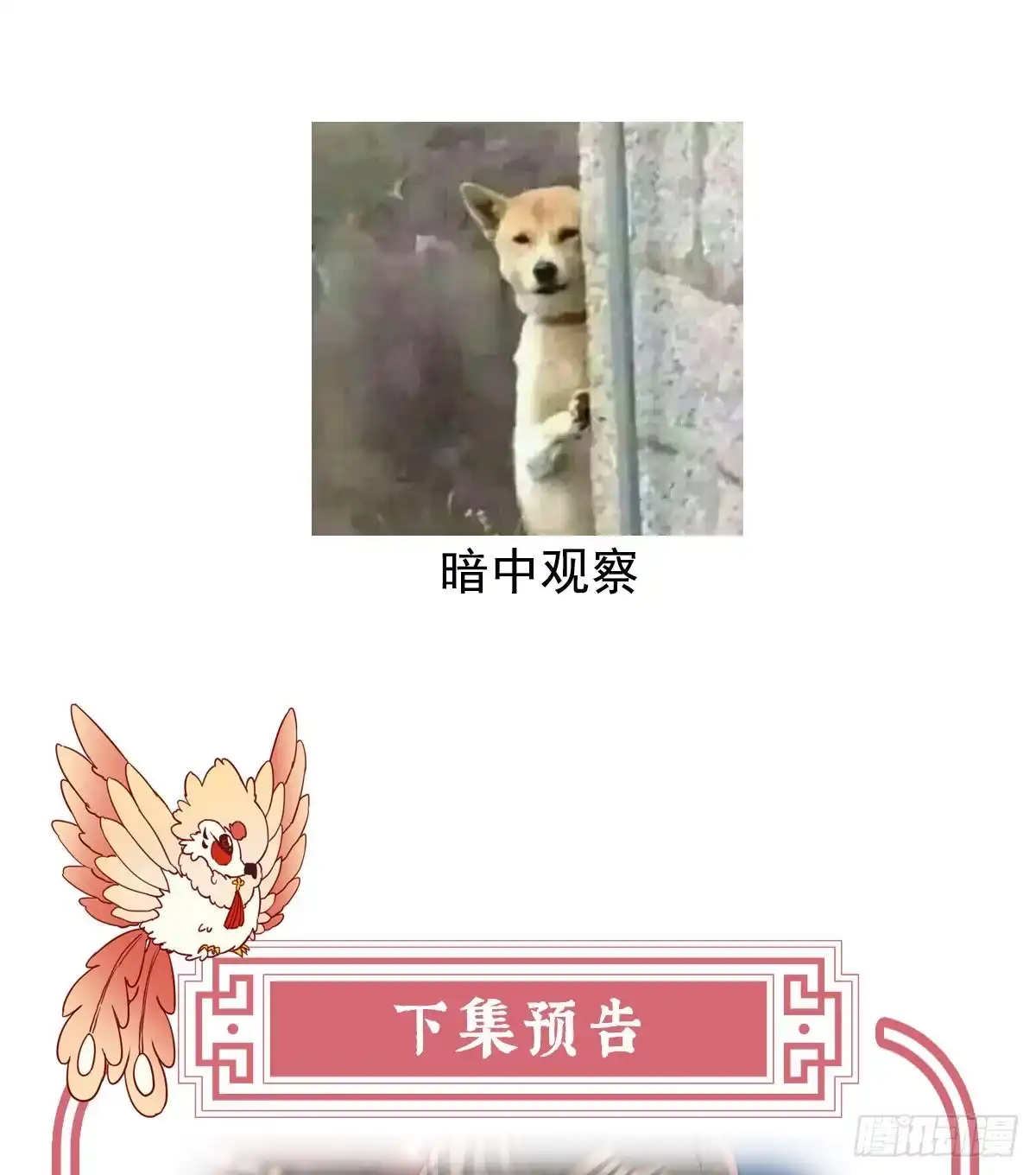 《妻主，请享用（别名：天喜红鸾）》杀了你这妖女！ 第65页