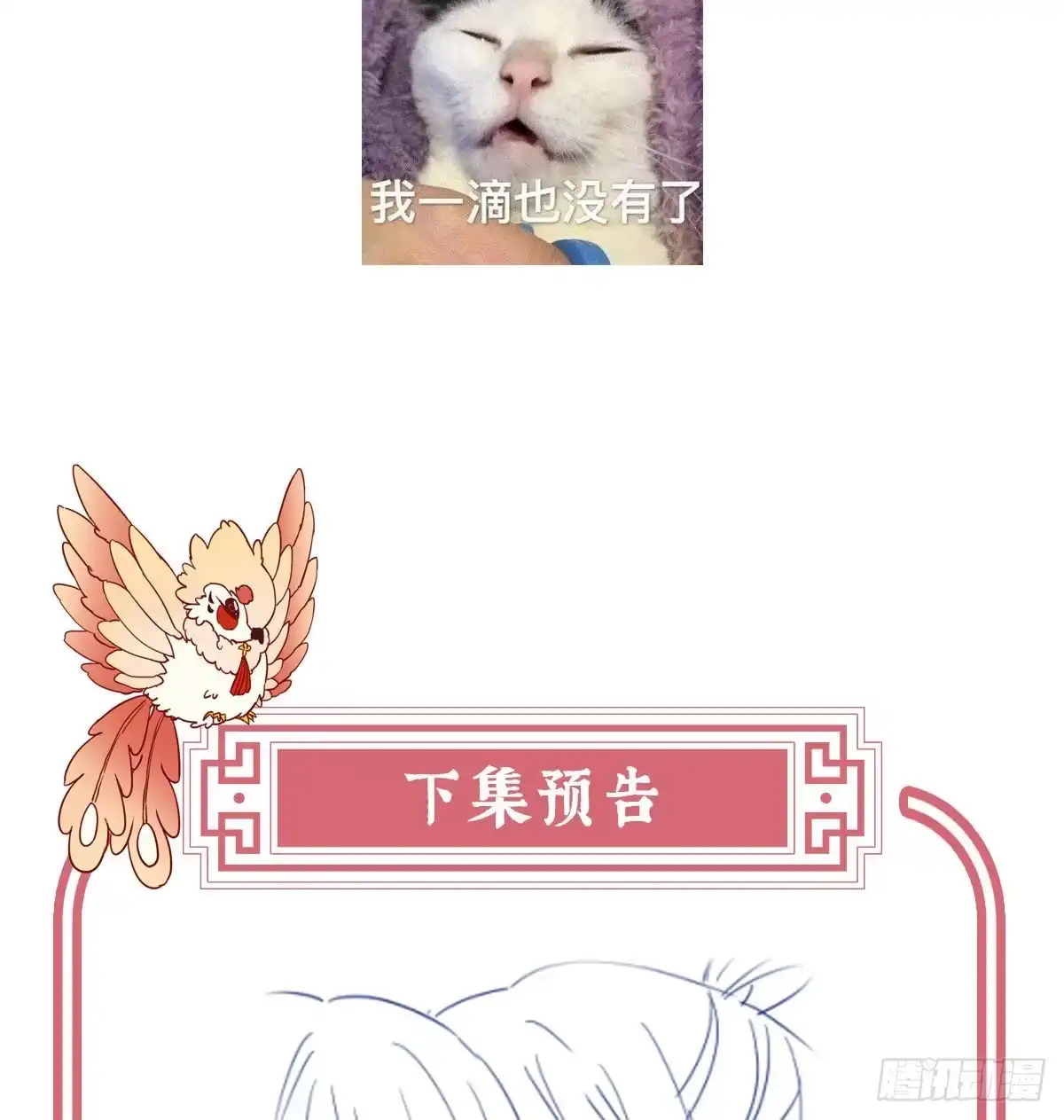 《妻主，请享用（别名：天喜红鸾）》逃走的小狐狸 第65页