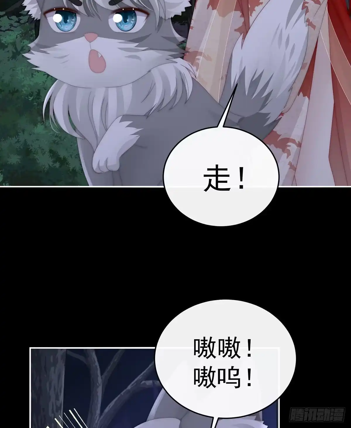 《妻主，请享用（别名：天喜红鸾）》妖族的领地 第53页