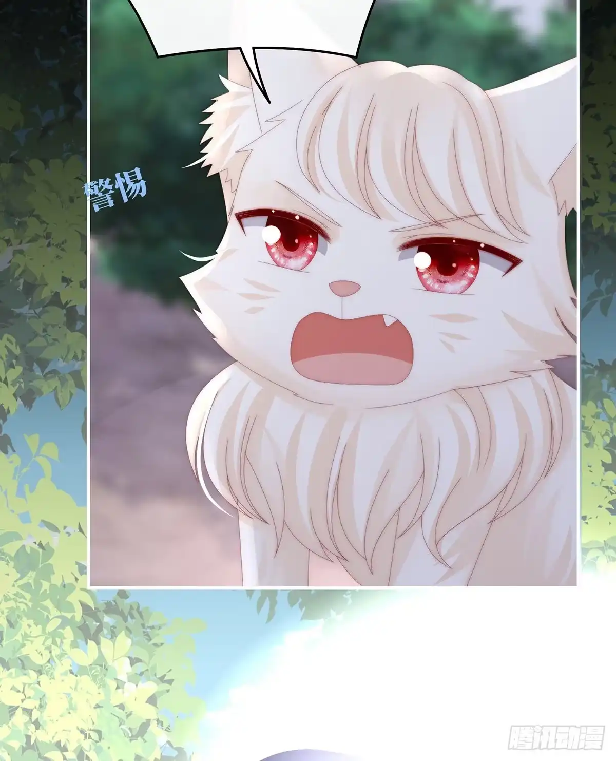 《妻主，请享用（别名：天喜红鸾）》我是她的夫君 第41页