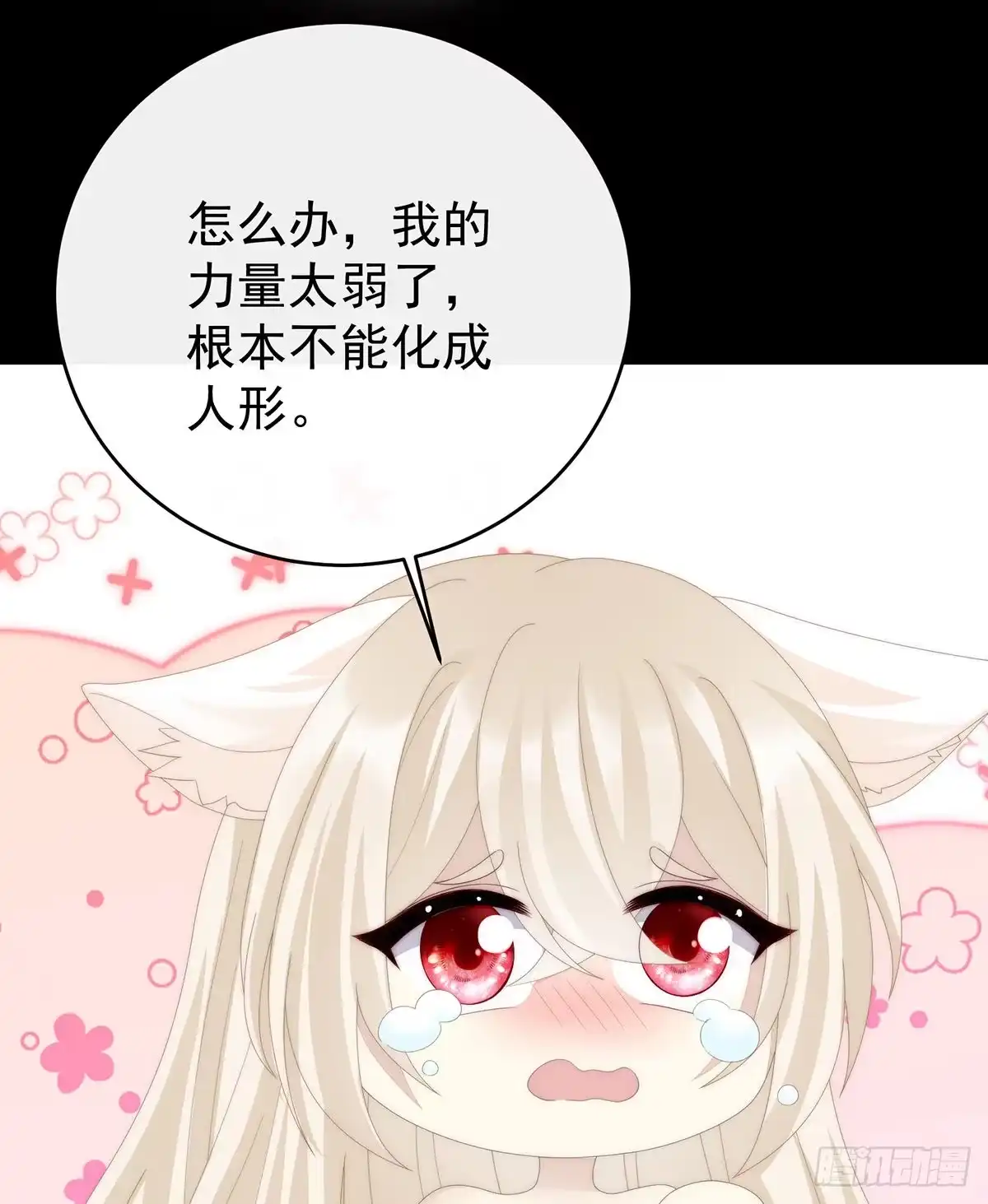 《妻主，请享用（别名：天喜红鸾）》我愿意等她醒来 第30页