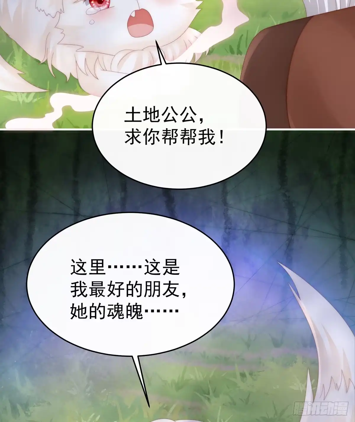 《妻主，请享用（别名：天喜红鸾）》我愿意等她醒来 第17页