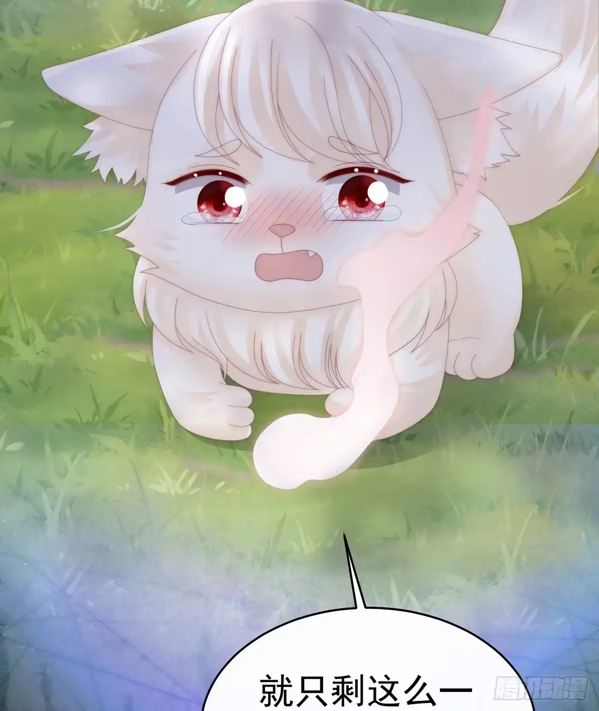 《妻主，请享用（别名：天喜红鸾）》我愿意等她醒来 第18页