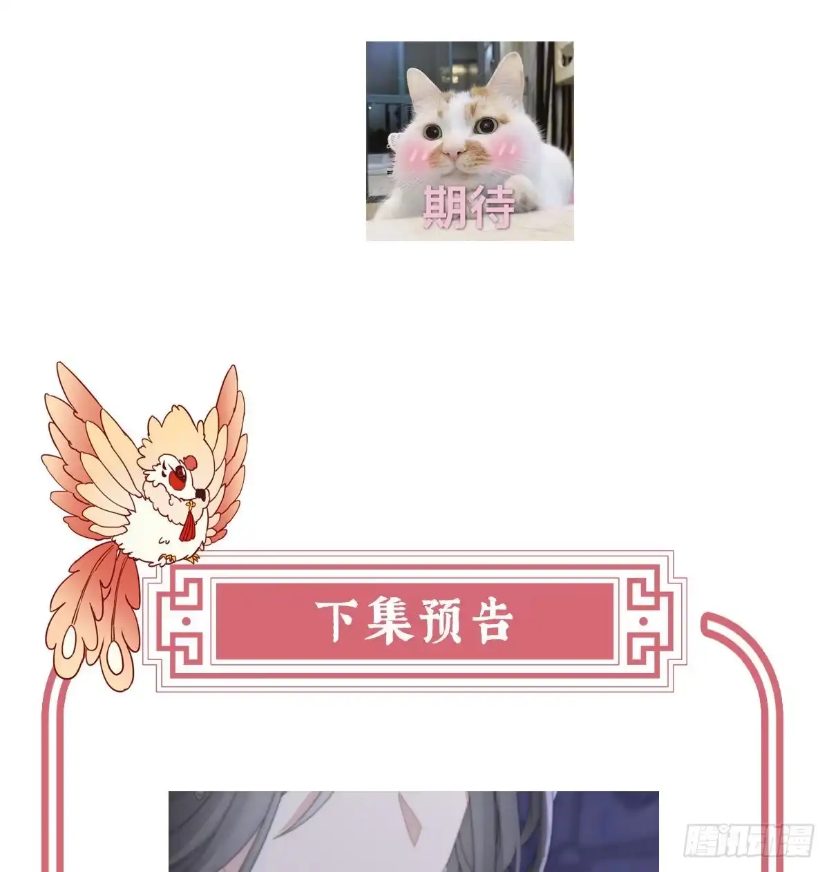 《妻主，请享用（别名：天喜红鸾）》想嫁给鸾鸾 第65页