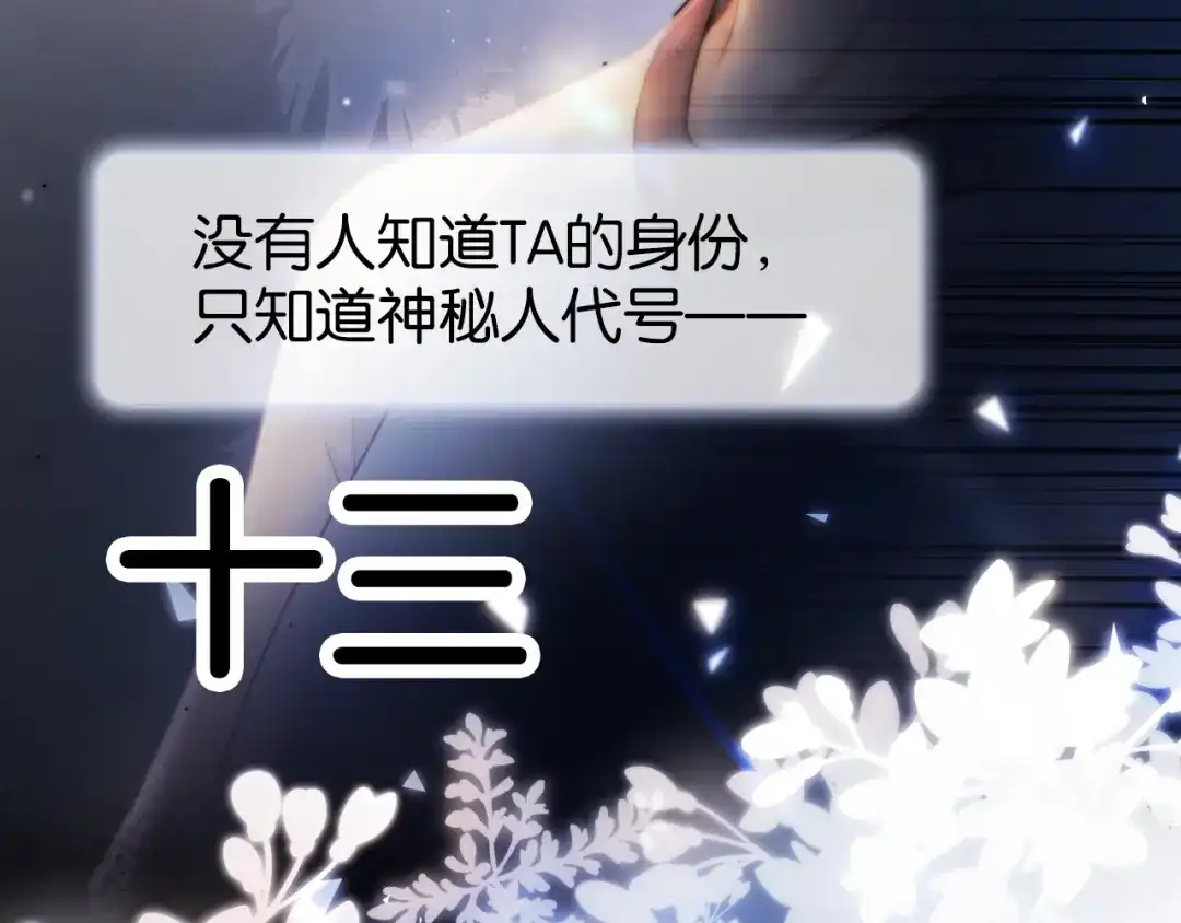 《全能御姐又被拆马甲了》第1话 神秘人十三 第39页