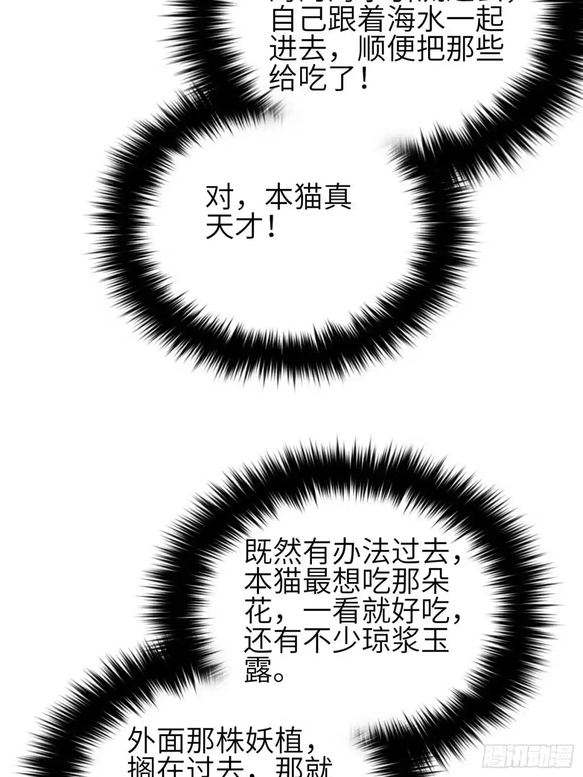 48.jpg