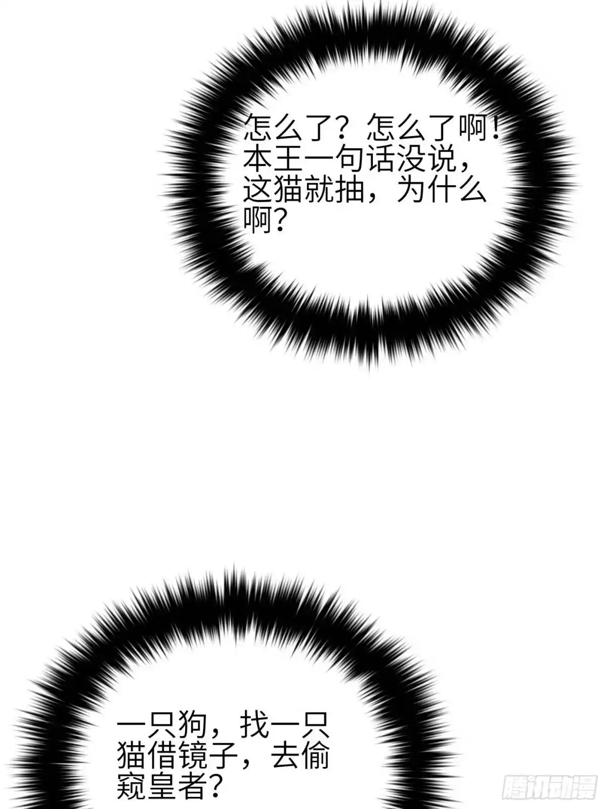 47.jpg