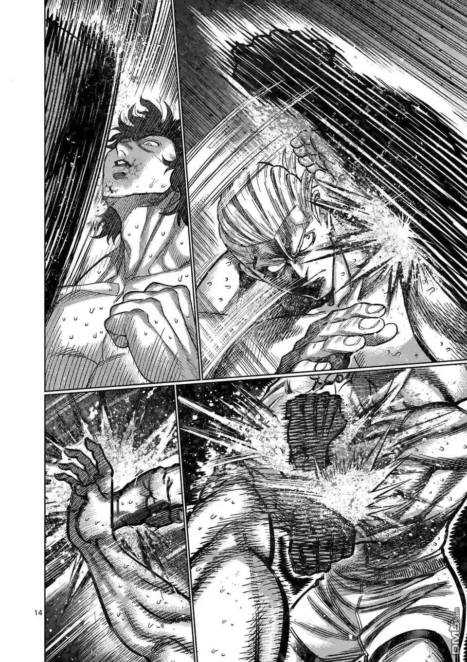 《拳愿奥米伽》第131话 一族的招式 第14页