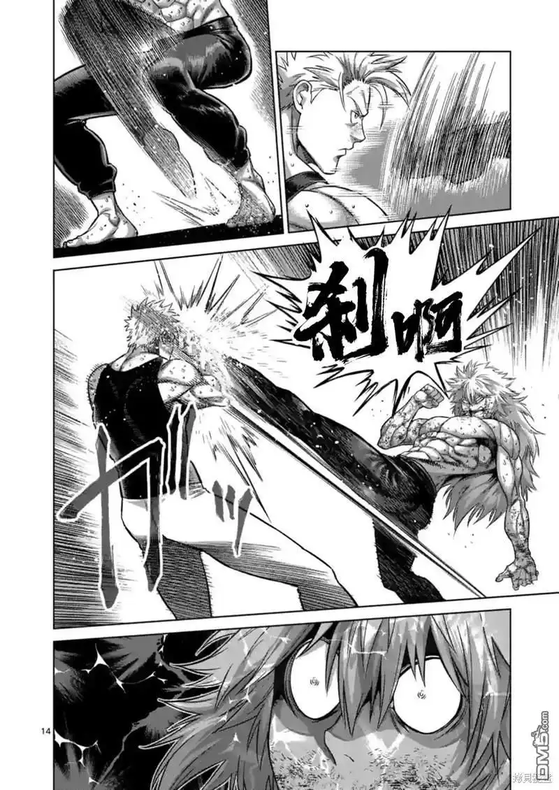 《拳愿奥米伽》第158话 第14页