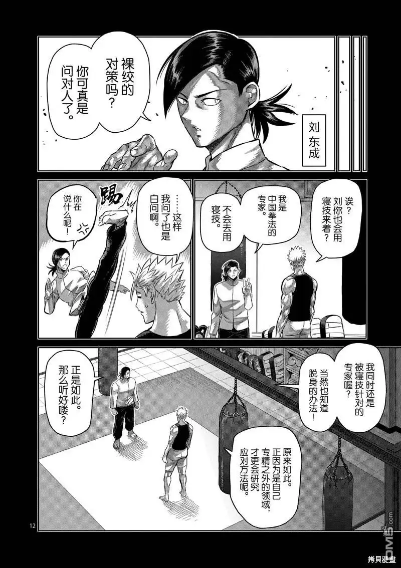 《拳愿奥米伽》第176话 第12页
