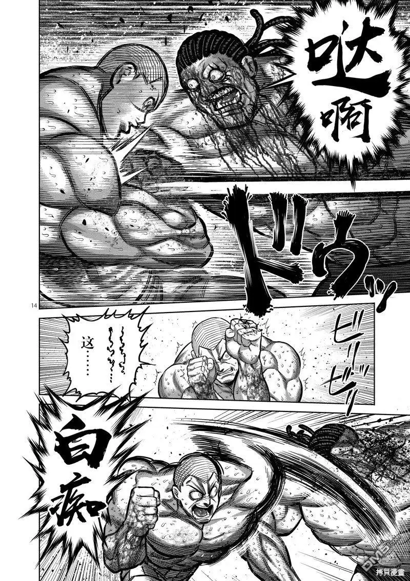 《拳愿奥米伽》第196话 第14页