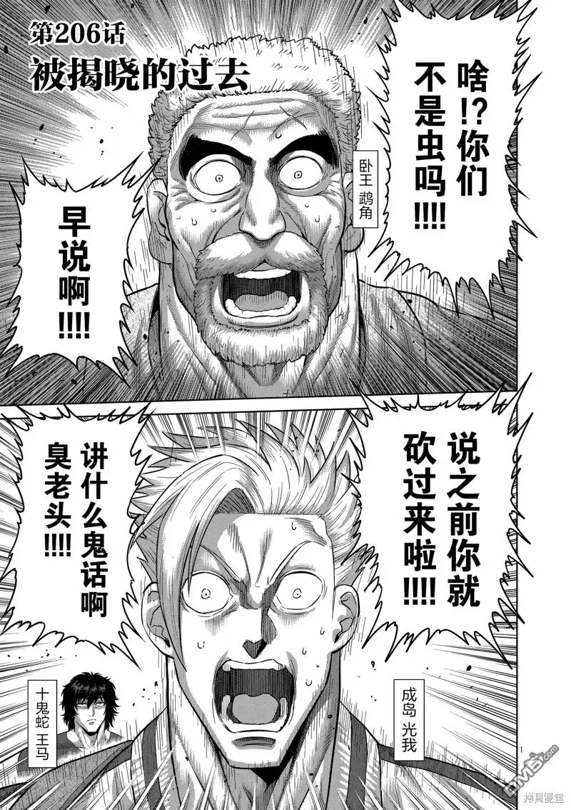 《拳愿奥米伽》第206话 第1页