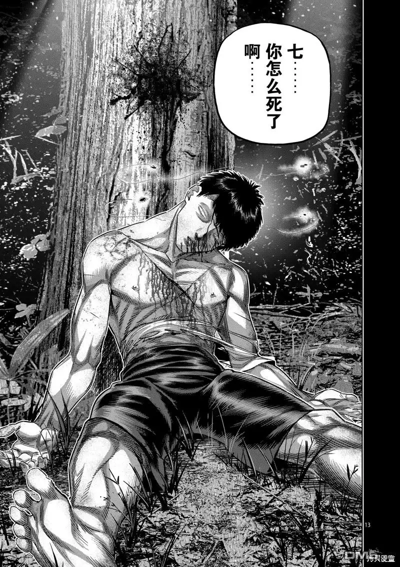 《拳愿奥米伽》第208话 第13页