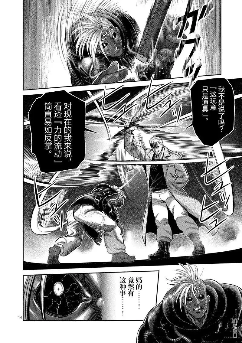 《拳愿奥米伽》第256话 第14页