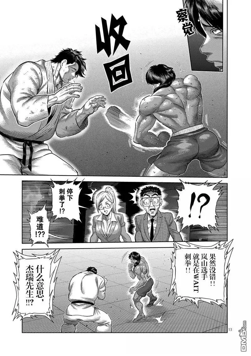 《拳愿奥米伽》第260话 第13页