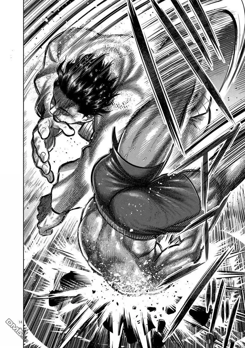 《拳愿奥米伽》第261话 第14页