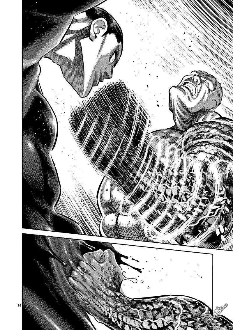 《拳愿奥米伽》第267话 第14页