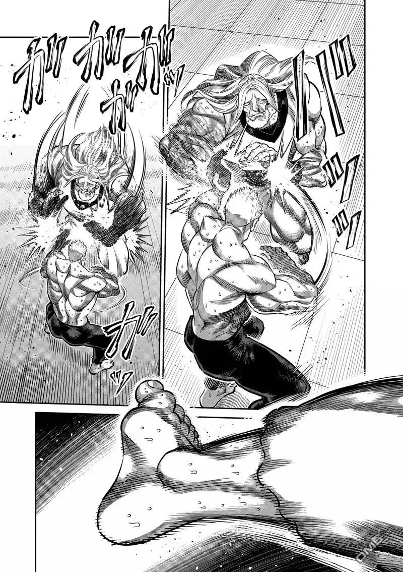 《拳愿奥米伽》第272话 第13页