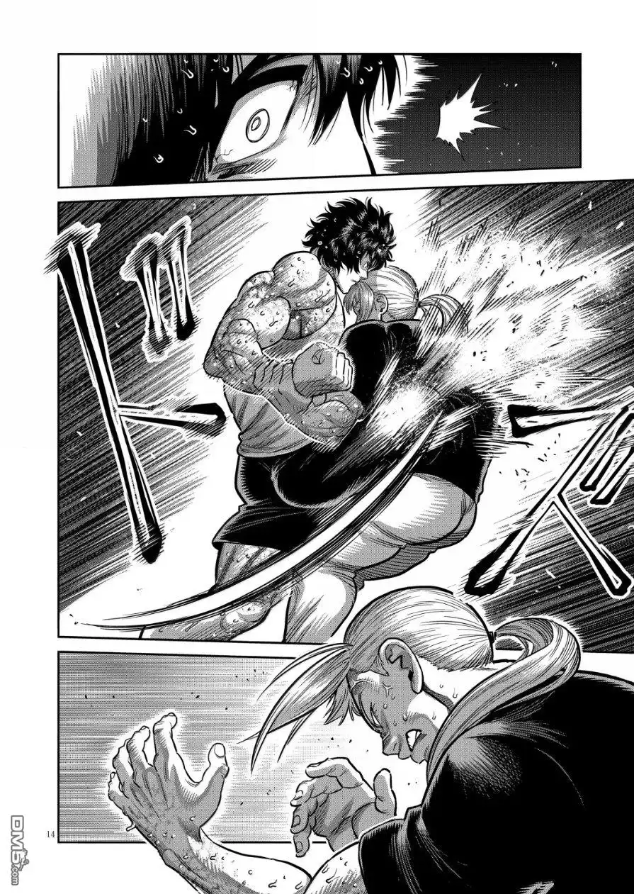 《拳愿奥米伽》第296话 第14页
