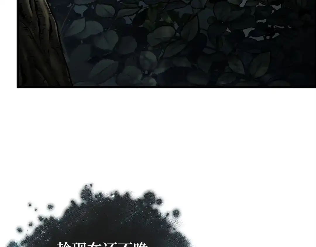 全知读者视角 294 最擅长的事（4） 第199页