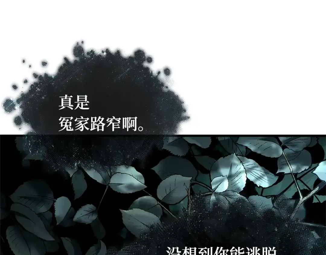 全知读者视角 294 最擅长的事（4） 第190页
