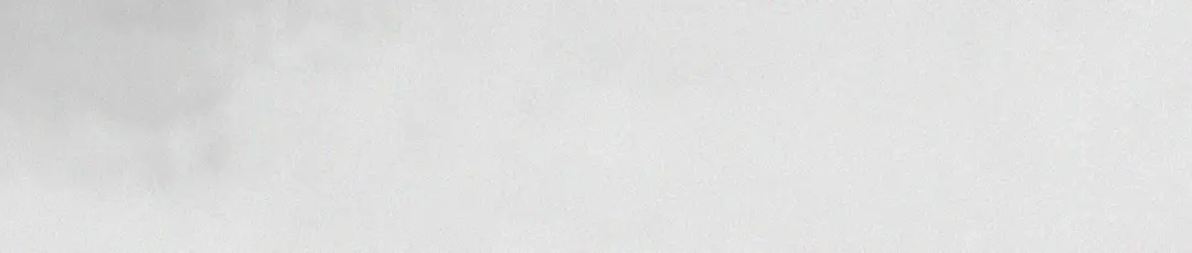 《让你当收尸人，你开局解剖了前女友》第9话 四厄难，杀刃与伤枭 第24页
