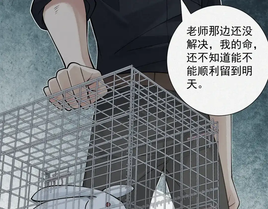 《让你当收尸人，你开局解剖了前女友》第12话 翠柳胡，用鸡来换命 第113页