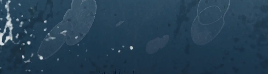 《让你当收尸人，你开局解剖了前女友》第6话 索命鸟，一声万事败 第110页