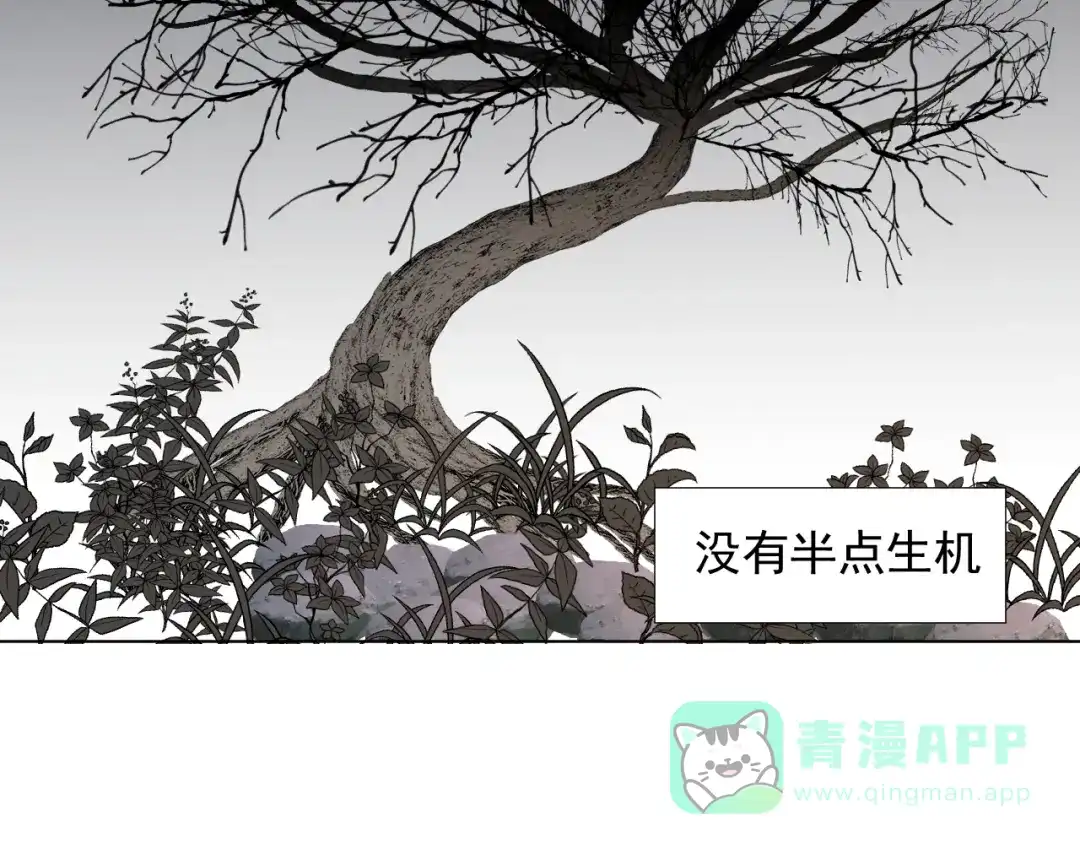 《人人都爱师尊大人》第十七话 花会重开吗？ 第6页