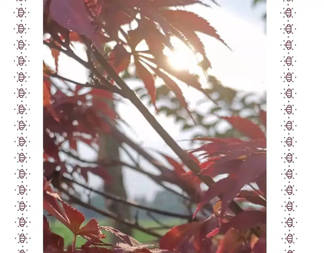 《人人都爱师尊大人》十八话 日常与修罗场？ 第65页
