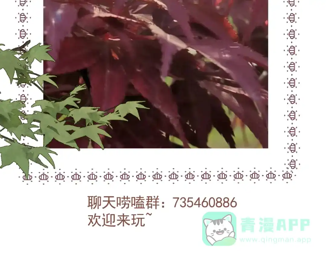 《人人都爱师尊大人》十八话 日常与修罗场？ 第66页
