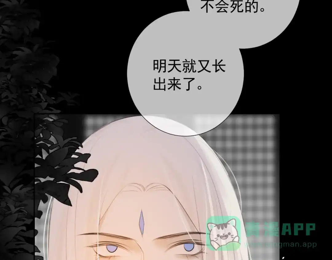 《人人都爱师尊大人》第9话 星魂宗旧事 第46页