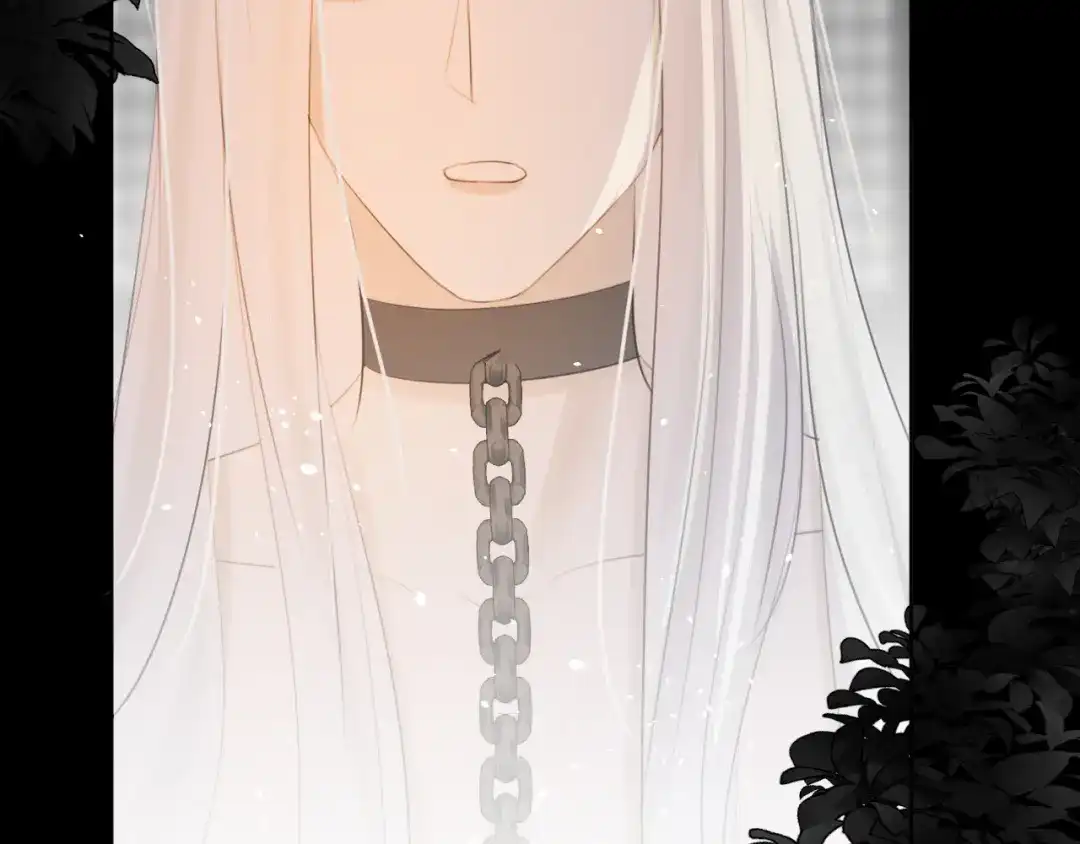 《人人都爱师尊大人》第9话 星魂宗旧事 第47页
