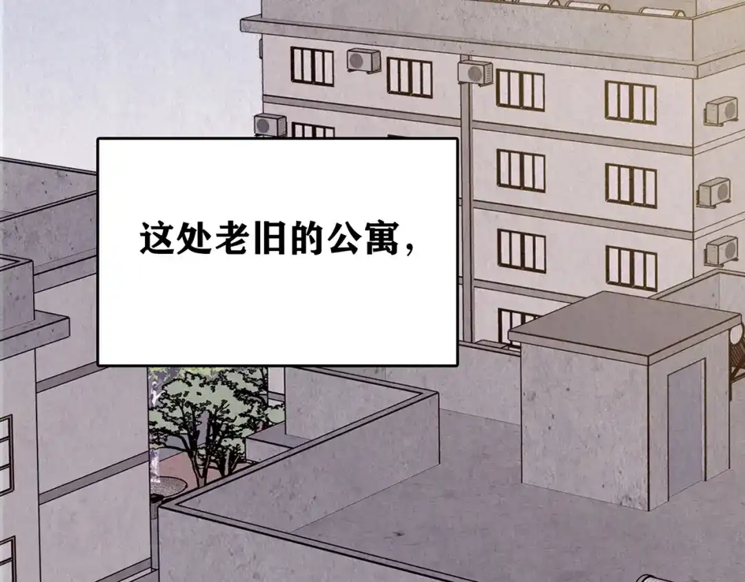 《人心惶惶》第37话 爱的迷雾 一 第5页
