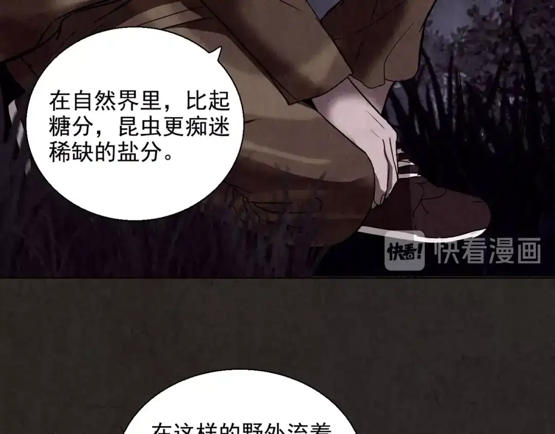 《人心惶惶》第5话 森林 第575页