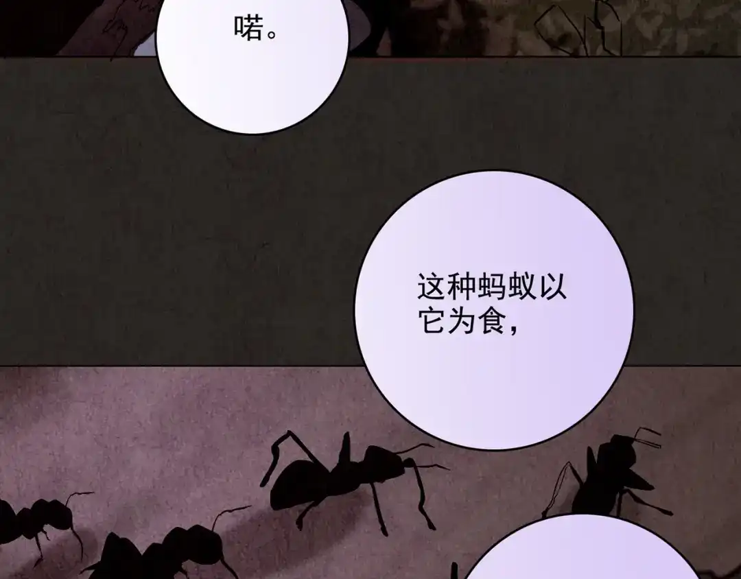 《人心惶惶》第5话 森林 第568页