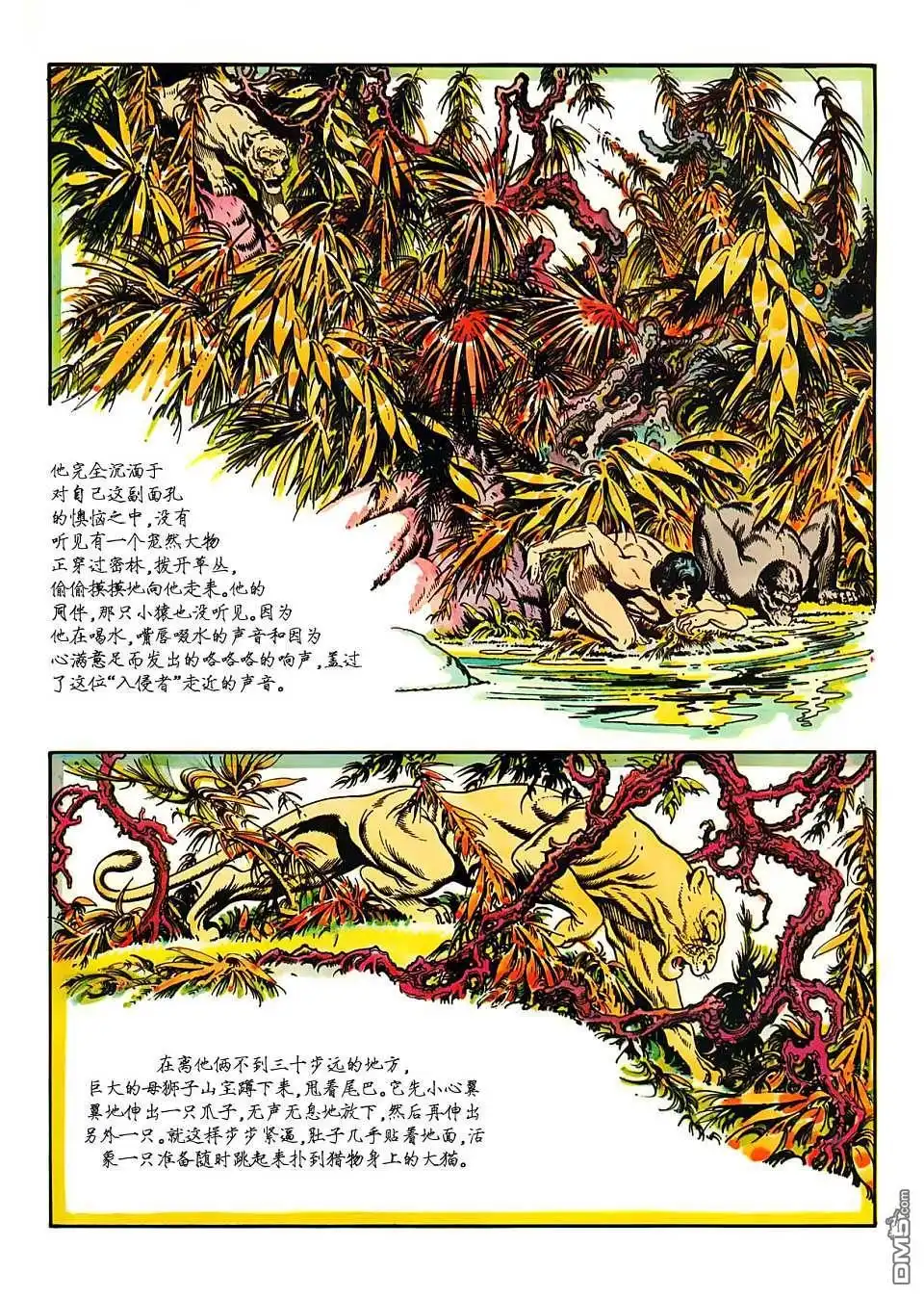 《人猿泰山》第1卷 第47页