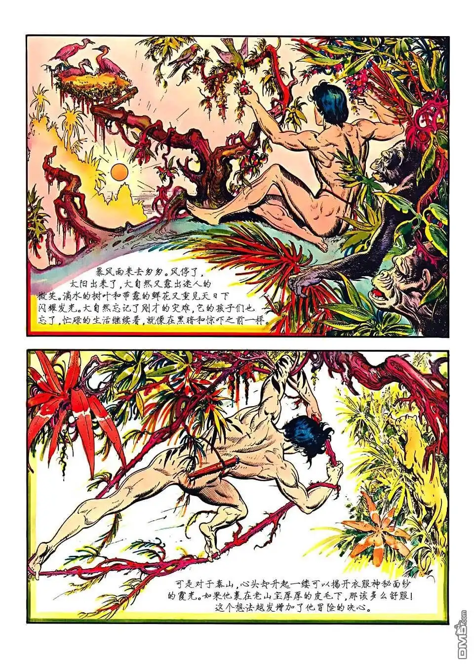 《人猿泰山》第1卷 第82页