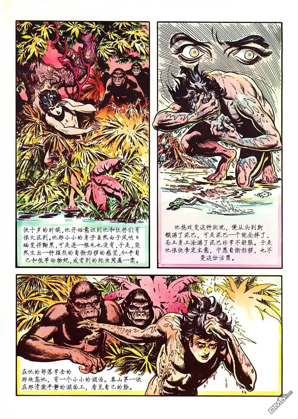 《人猿泰山》第1卷 第45页