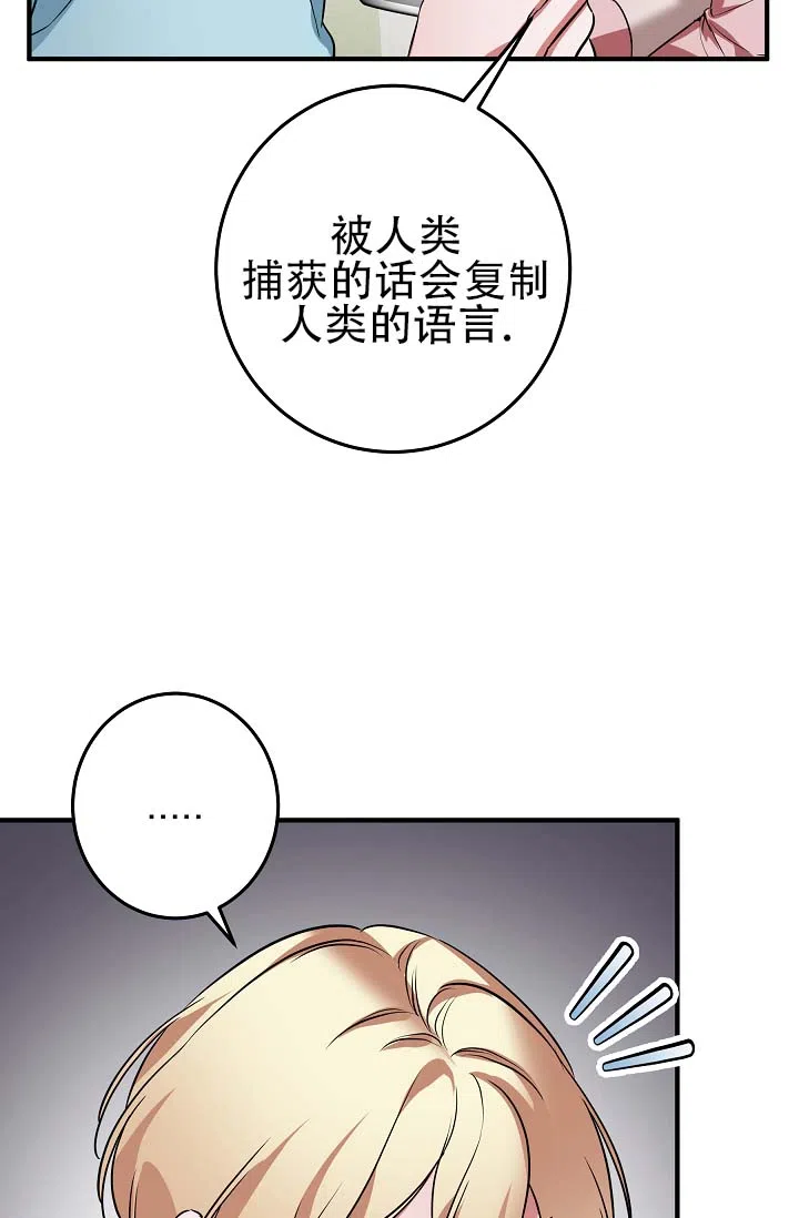 《人鱼少爷日记》第6话 第17页